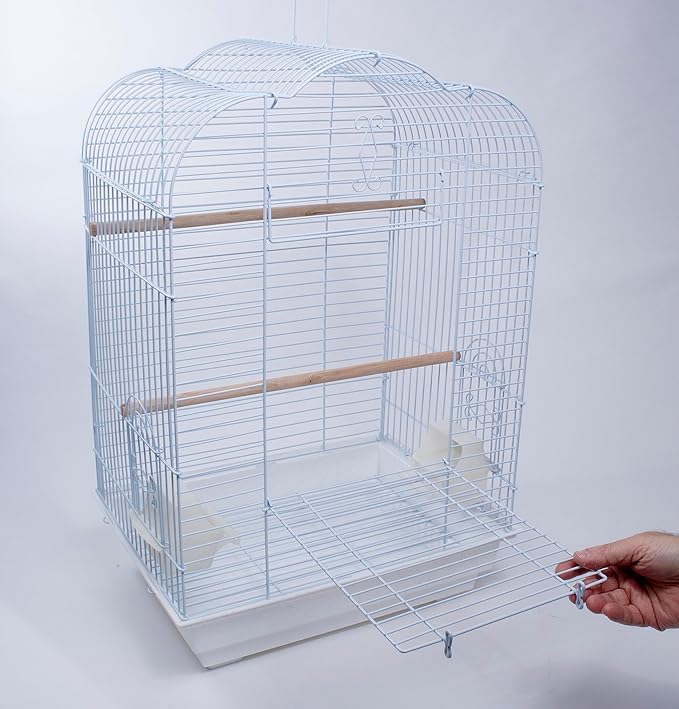 PENN-PLAX Cockatiel & Small Parrot Starter Birdcage – Great for Cockatiels, Conures, and Small Parrots – Scalloped Dome – White