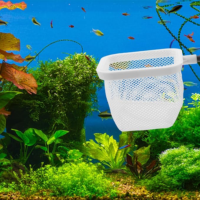 Totority Fish Tank Breeder Net with Suction Cups Durable Isolation Box for Shrimp and Betta Fish Easy Installation and Cleaning Spawning and Protection of Newborns