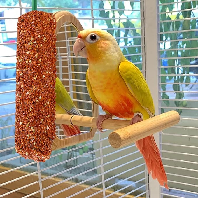 Cockatiel Treat - | 2 Pieces Bird Snacks | Pet Bird Treat Sticks | Cockatiel Treats, Pet BirdTreat Sticks Training Food Rewards Chewing Foraging Snacks for Myna Parakeet Finch Conure Parrot