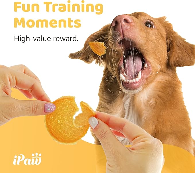 iPaw Chicken Chips Dog Treats for Puppy Training, All Natural Human Grade Dog Treat, Hypoallergenic, Easy to Digest (Chicken Chips)