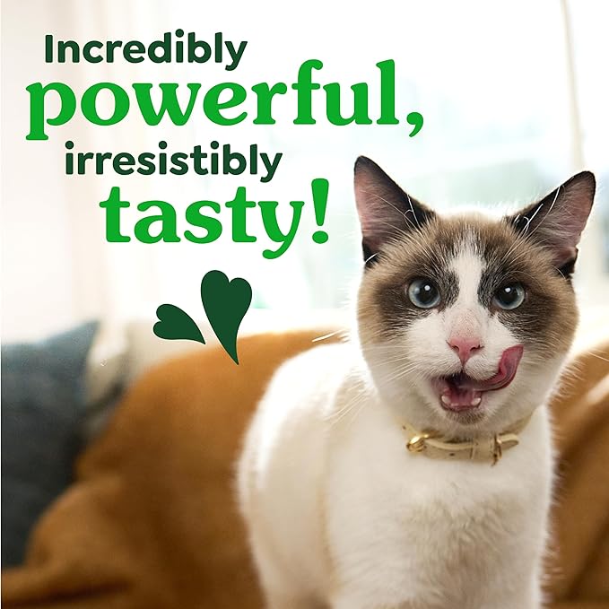 Greenies Cat Treats, Veterinarian-Recommended Adult Natural Dental Cat Treats, Tempting Tuna Flavor, 9.75 oz. Tub