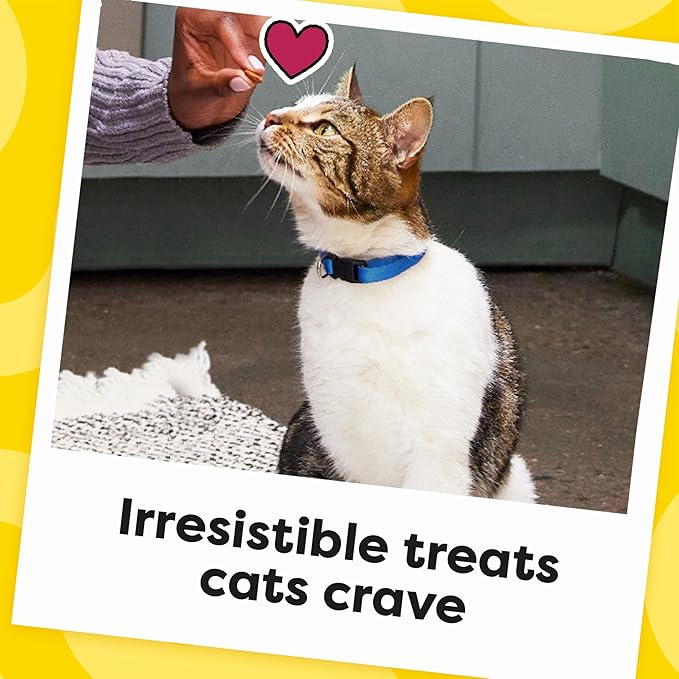 Temptations Cat Treats, Classic Crunchy and Soft Cat Treats, Seafood Medley Flavor, 16 oz. Tub