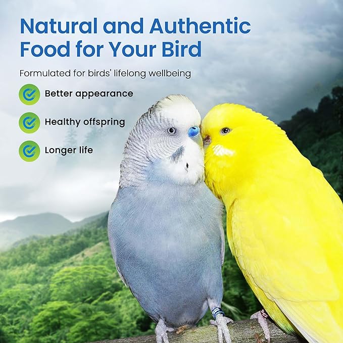 Harrison's Bird Foods Adult Lifetime Mash- Certified Organic, Non-GMO, Maintenance Formula for Healthy Birds, Minimally Processed Powdered Food for Parrots, Conures, Budgies, Lovebirds etc 454g / 1lb