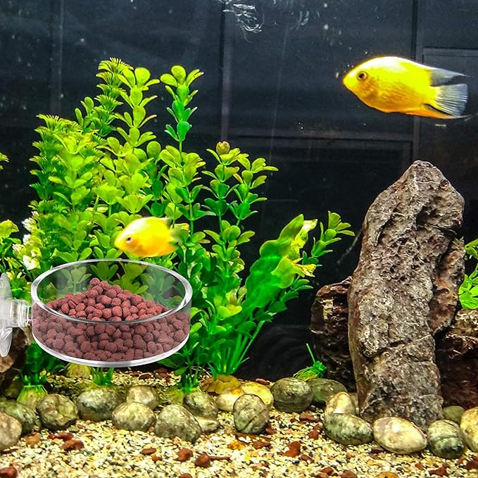 Aquarium Shrimp Feeder Dish Round Fish Tank Feeder Bowls Clear Aquarium Feeding Cup with Suction Cup