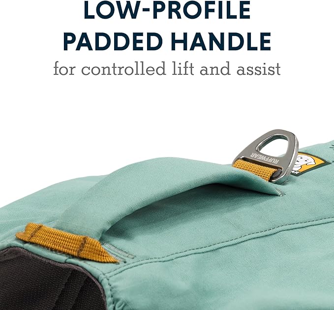 Ruffwear, Front Range Day Pack, Dog Backpack with Saddlebags, 5-Point Adjustment, 3 Leash Points, Padded Handle, Internal Mesh Pockets, Reflective Trim, Light Loop, River Rock Green, X-Small