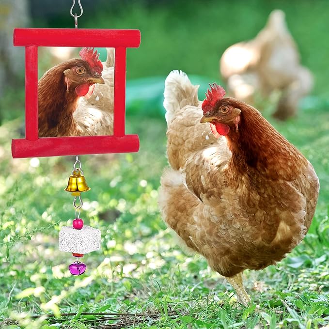 3 Packs Chicken Toys for Coop, Hen Chicken Coop Mirrors Bird Toy with Bells Hanging Parrot Grindstone Bird Beak Stones for Chicks Parrots Birds Hens