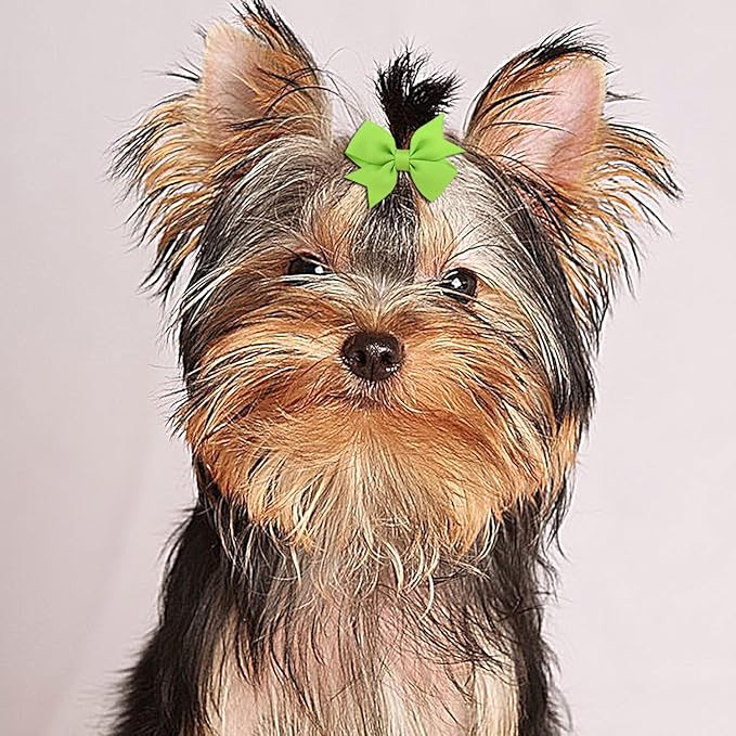 Puppy Dogs Hair Barrettes Bows with Rubber Bands,Hair Accessories Bow Pet Grooming Cute Pet Small Hair Bowkno
