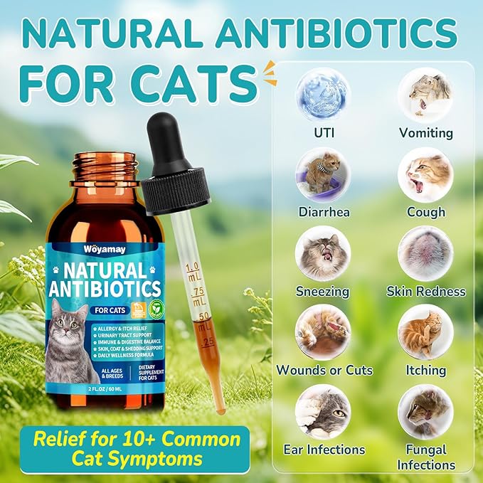Antibiotics for Cats, Natural Antibiotic for Allergy Relief, Urinary Tract Health, Itch Relief & Digestion Care, Cat Allergy Relief for Cats, Cat Immune Support Supplement, 2 Fl Oz
