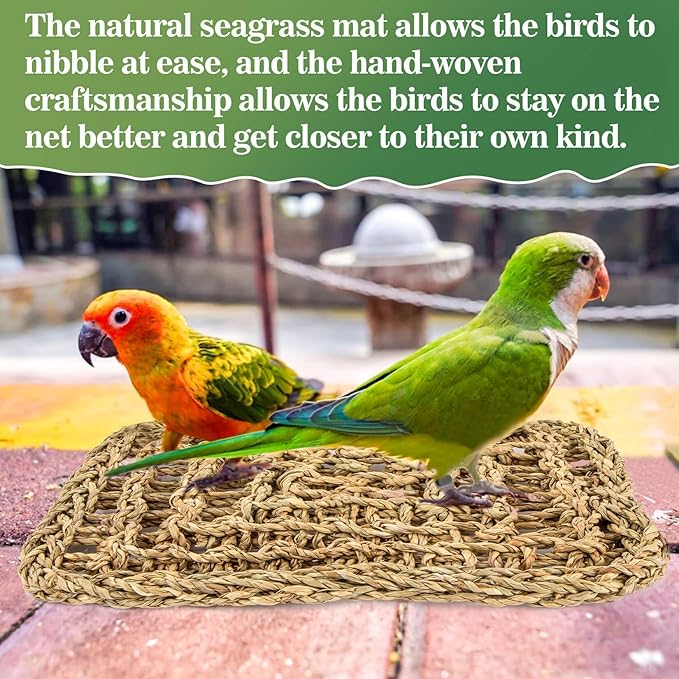 MAQIHAN Seagrass Mat for Birds - Bird Toys Seagrass Mats Foraging Activity Play Grass Mat Bird Climbing Wall Seagrass Net Hammock Toy for Medium Parakeets Lovebirds Finch Budgerigars Conure Cockatiel