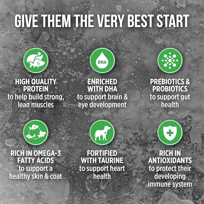 Catit Creamy Superfood Lickable Cat Treat – Hydrating and Healthy Treat for Cats of All Ages - Assortment, 16-Pack