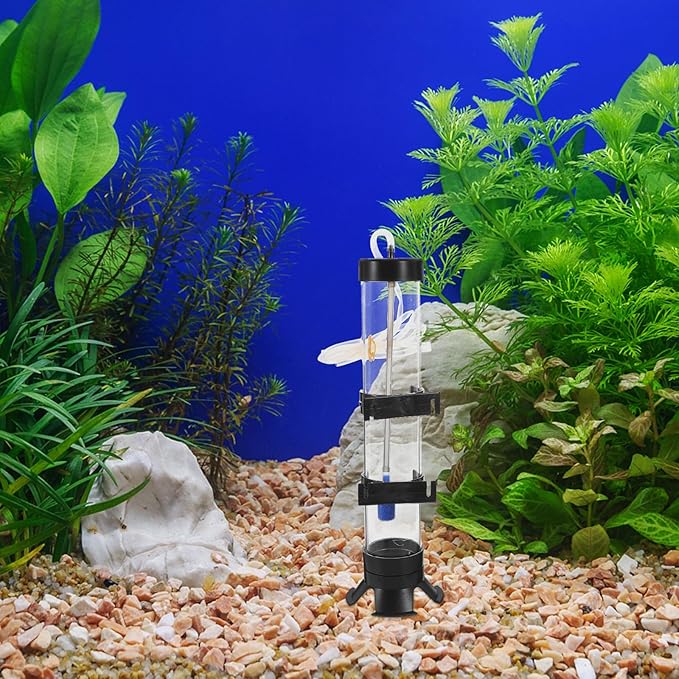 Brine Shrimp Hatchery Kit with Air Pump and Storage Bottle Aquarium Incubator for Fish Breeding and Shrimp Hatching