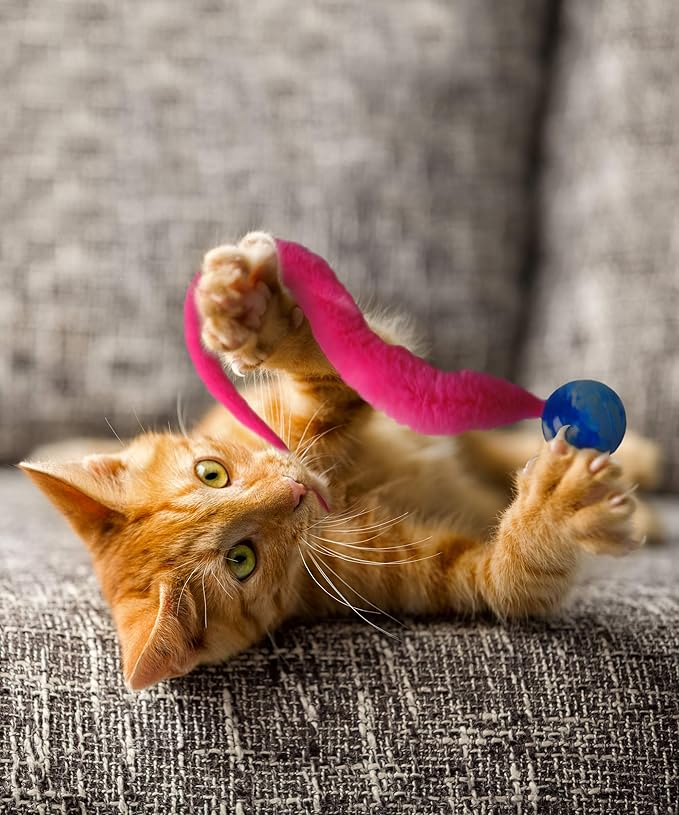 Dezi & Roo Wiggly Ball - 3pk - Fun Cat Toys - Toy Balls for Indoor Cats - Designed by a Feline Vet - Made in USA…