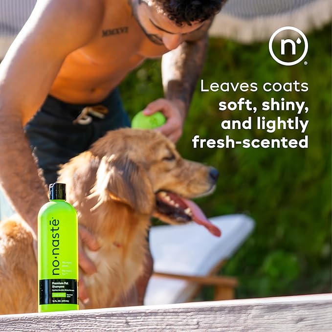 Nonaste Aloe Glow Premium Dog Shampoo (16 Oz, Pack of 1) – Deep-Clean & Odor-Neutralizing Dog Wash with USDA Certified Organic Aloe & Oatmeal | for Sensitive Skin, Soft Shiny Coat, Light Fresh Scent