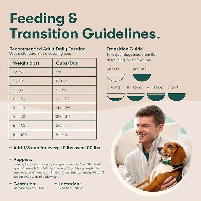 Jinx Premium Dry Dog Food for Senior Dogs - Real Chicken, Brown Rice & Sweet Potato Kibble with Antioxidants for Immune Support & Whole Grains for Digestive Support - No Fillers - 23.5lb