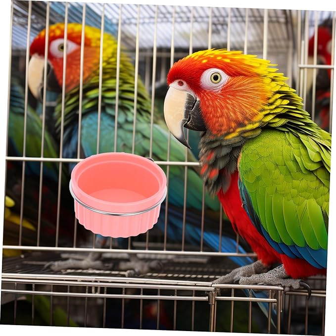 Stainless Steel Parrot Food Bowl Parrot Feeding Bowls for Cage Bird Feeders Bird Feeding Watering Supplies