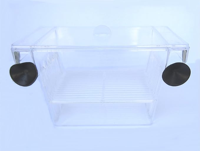 YML Fish Hatchery Tank, 5 by 2.75 by 2.75-Inch