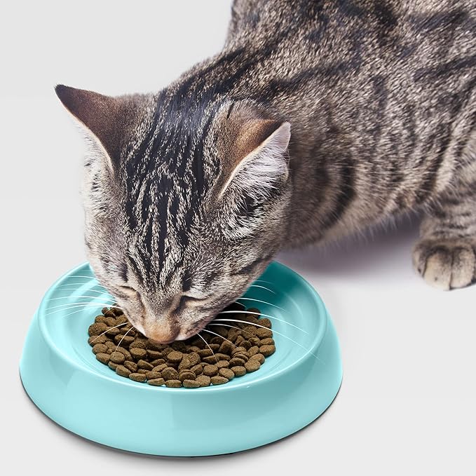 CatGuru Cat Bowls, Whisker Friendly Food Bowl for Indoor Cats, Reliefs Whisker Fatigue, Wide Kitten Dish, Non Slip Pet Dishes, Shallow Pet Plates (Aruba, (Pack of 2))