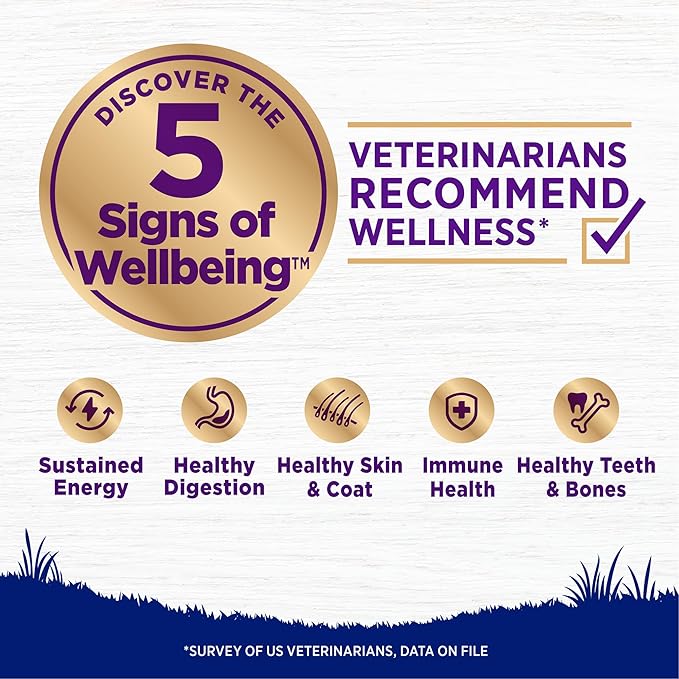 Wellness Complete Health Large Breed Adult Dry Dog Food, Wholesome Grain Kibble, Natural, Chicken, Brown Rice and Salmon Meal Recipe, 30 lb Bag