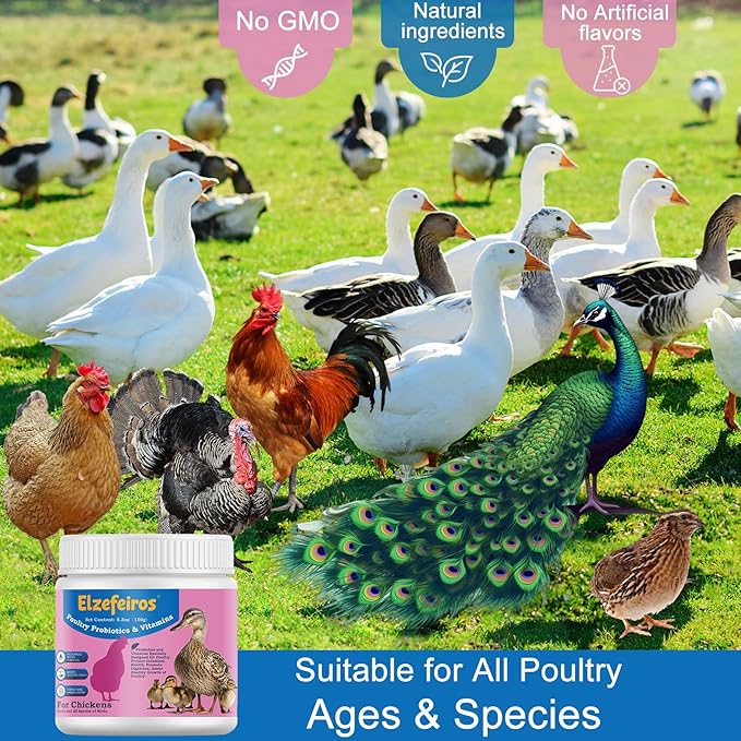Chicken Probiotic & Vitamin Supplement for Immune Support & Egg Production,Digestive Aid and Hydration Support,Poultry Supplement for Chickens and Ducks and All Ages of Birds(5.3oz)