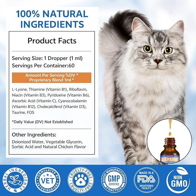 L-lysine Supplement for Cats, Immune Support for Cats, Support for Feline Respiratory, Sneezing, Runny Nose, Eye Function, Helps Strengthen Natural Defenses, Chicken Flavor (1PC)
