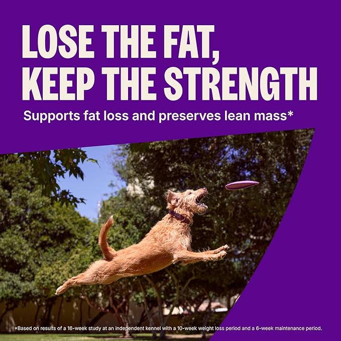 Wellness CORE Healthy Weight Adult Dry Dog Food, Grain Free Kibble, Natural, High Protein, Turkey and Chicken Recipe, 26 lb Bag