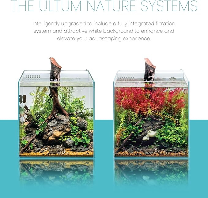 Ultum Nature Systems Rimless All in One Aquarium - Cube Fish Tank, Freshwater AIO Aquarium, Rimless Fish Tank w/Triple-Chamber Filter & White Background - 7 Gallon - 11.81" x 11.81" x 11.81" - 30A