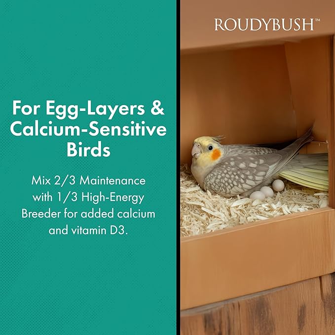 RoudyBush Daily Maintenance Bird Food, Medium, 22-Ounce, Green, 222MDDM