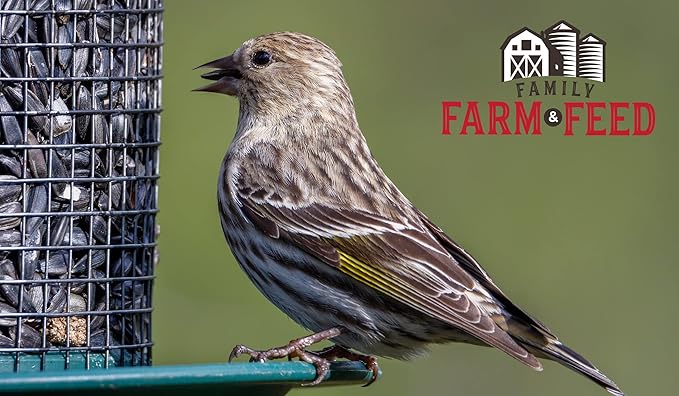 | Four Seasons | Striped Sunflower Seed | Wild Bird Food | Backyard Songbird | 3 Pounds