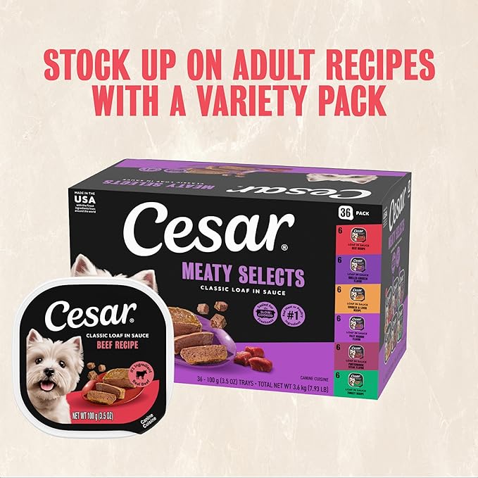 Cesar Classic Loaf in Sauce Adult Wet Dog Food Beef Recipe, 3.5 oz. Easy Peel Trays, 24 Count (Pack of 1)