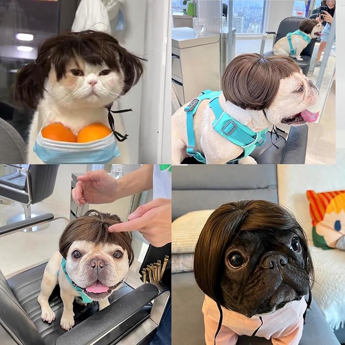 Funny Pet Wig – DIY Haircut & Adjustable Fit – Cat & Dog Costume for Halloween, Party, Photo Shoots – 3D Natural Look – Fits 5kg-50kg Pets