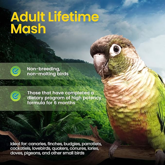 Harrison's Bird Foods Adult Lifetime Mash- Certified Organic, Non-GMO, Maintenance Formula for Healthy Birds, Minimally Processed Powdered Food for Parrots, Conures, Budgies, Lovebirds etc 454g / 1lb