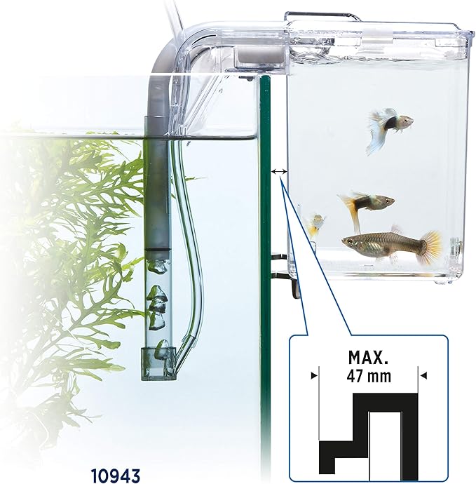 Fluval Multi-Chamber Holding and Breeding Box, Large – Up to 3 Separate Housing Compartments (Pack of 6)