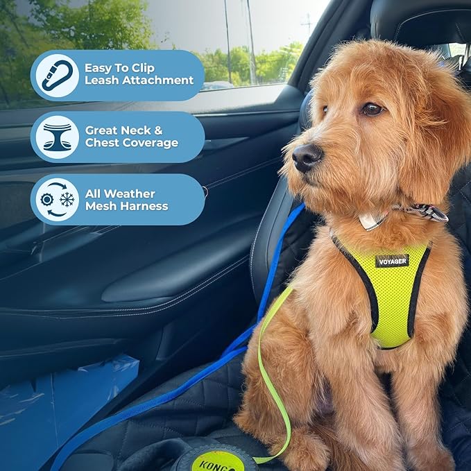 Best Pet Supplies Voyager Step-in Air Harness - All Weather Mesh, Reflective, No Pull Harness for Dogs, Cats - Secure with Hook & Loop Fastener, Buckle, Double D-Rings - Lime Green/Black Trim, S