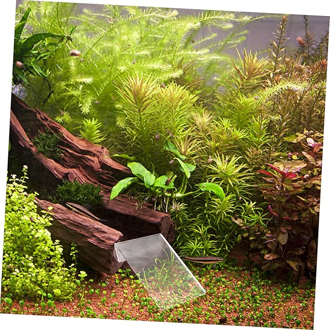 BESPORTBLE Fish Spawning Plate Cups Lightweight Breeding for Aquariums for Fish and Shrimp Farming Removable Design for Easy Installation
