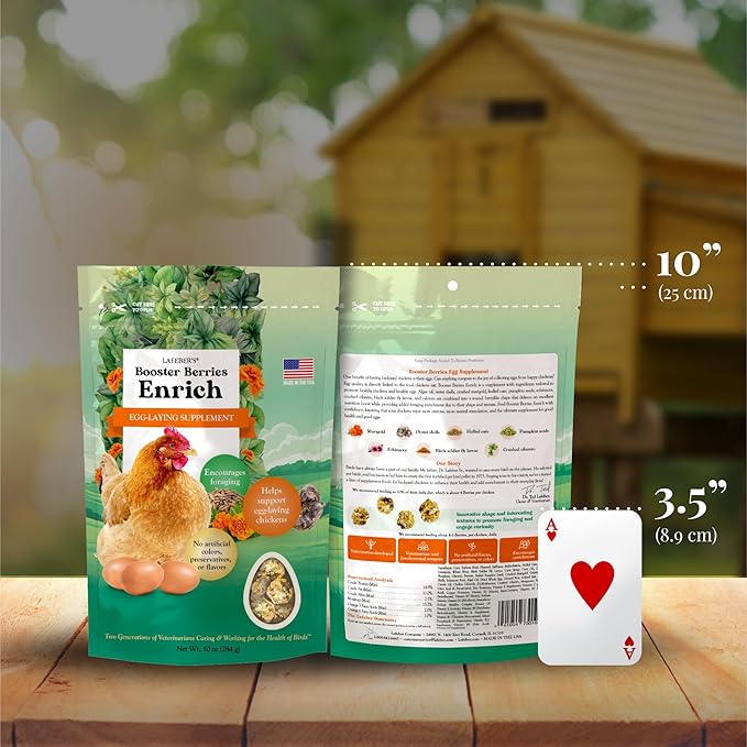 LAFEBER'S Booster Berries Enrich Chicken Supplement, for Chickens (10oz Pack of 2)