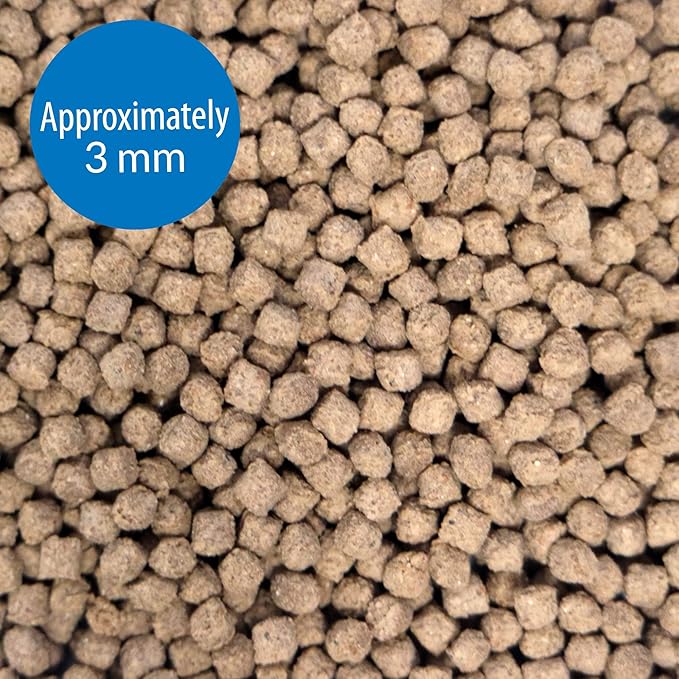 API BOTTOM FEEDER PELLETS WITH SQUID Fish Food 1.3-Ounce Container