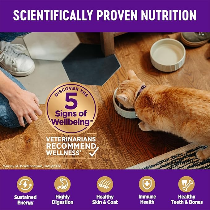 Wellness Complete Health Adult Dry Cat Food for Indoor and Outdoor Cats, Wholesome Grains, Natural, Salmon & Salmon Meal (5 Pound Bag)