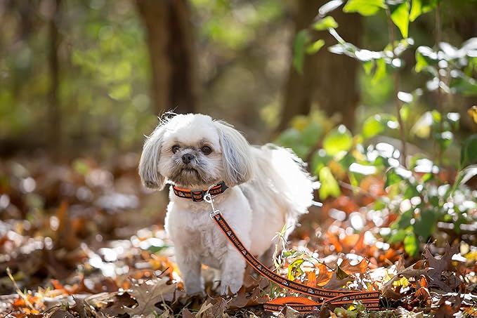 Pets First NFL Licensed Cleveland Browns Pet Leash, Size Small – Durable Satin Dog & Cat Walking Strap and Pet Tether with Embroidered Team Name & Logo