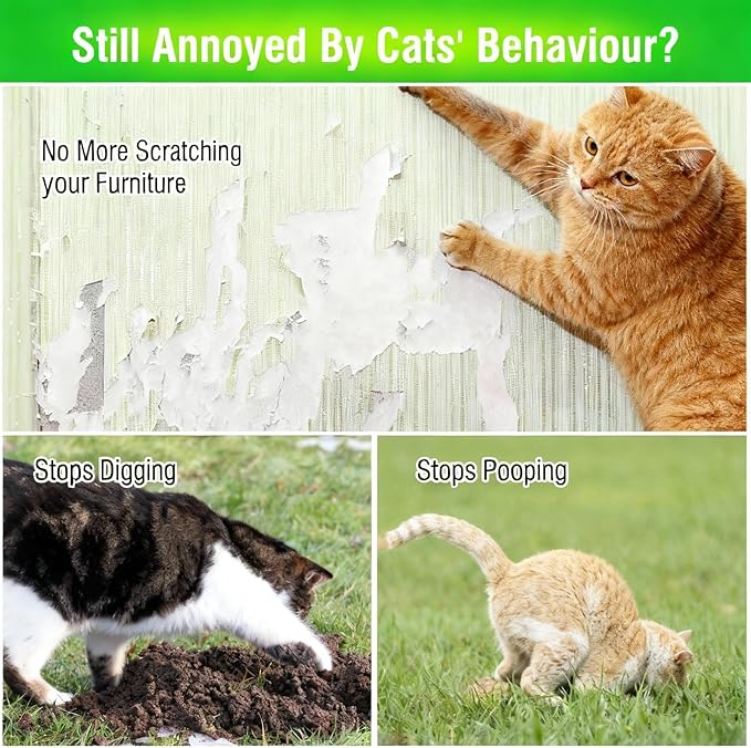 Natural Peppermint Oil Cat Deterrent Outdoor and Indoor, Keep Cats Permanently Out of Yard, Lawn, Garden, Furniture, Mulch & Flower,8 Pack