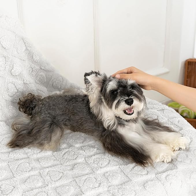 gogobunny Calming Plush Dog Cat Blanket 300GSM Coral Fleece, Ultra-Soft Machine Washable Pet Bedding for Small Medium Dogs Cats Puppies Kittens (Silver, 30x40)
