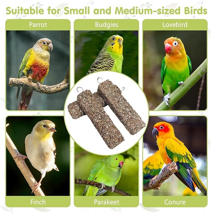 PINVNBY 6 PCS Parakeet Treats Natural Minerals Parrot Treat Sticks Calcium Cockatiel Snacks Hanging Bird Chewing Toy for Budgies Conurus Lovebirds Finches