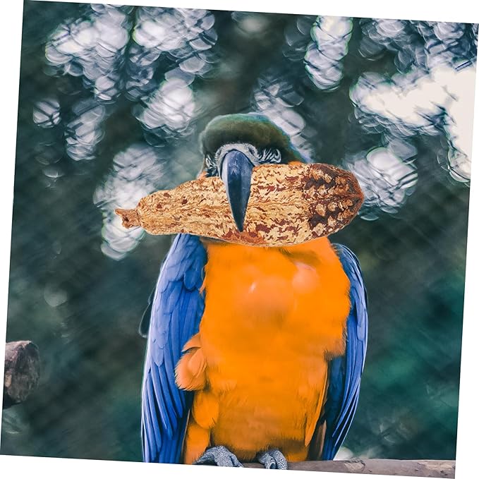 Totority Natural Fruit Material Parrot Beak Fruit Decor Bird Chew Toy Parrot Toys Treats for Cage