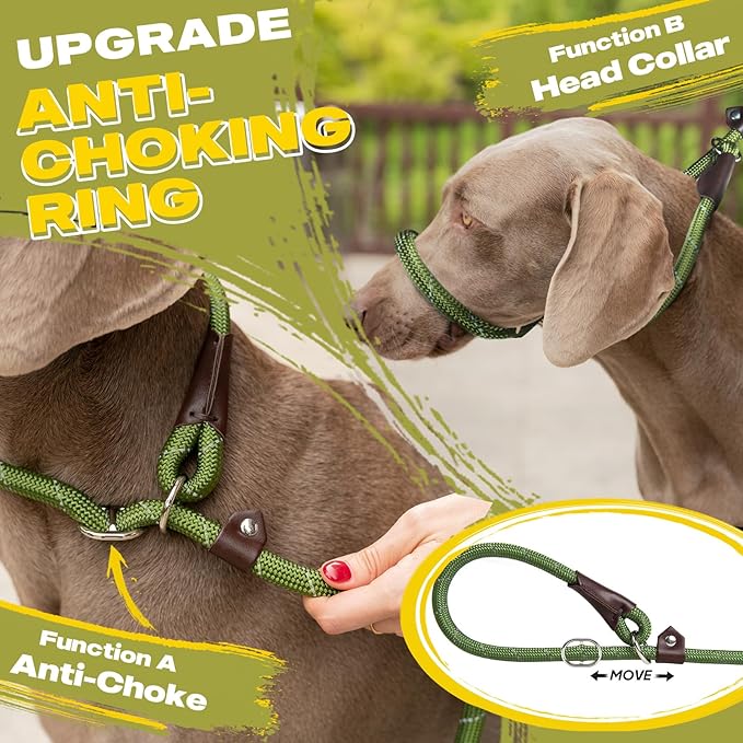 Fida Durable Slip Lead Dog Leash, 6 FT x 3/8" Heavy Duty Dog Loop Leash, Comfortable Strong Rope Slip Leash for Small Dogs and Puppies, No Pull Pet Training Leash with Highly Reflective(3/8", Green)
