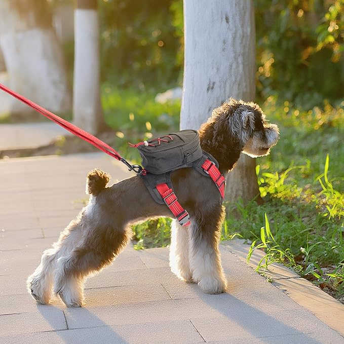 Dog Backpack Harness for Small and Medium Dogs, Adjustable Lightweight Bag with Detachable Backpack and Leash, Poop Bag Dispenser, Water Resistant for Hiking, Travel, Training, and Daily Walks, L