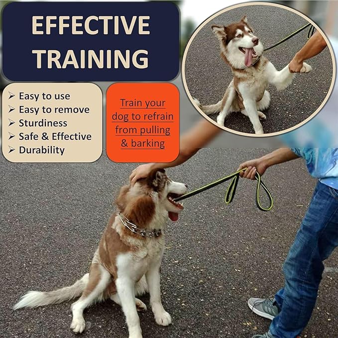 Quick Release Dog Training Collar Adjustable Stainless Steel Collar for Small Medium Large Dog (Tan, S Neck Girth 11.2"-14.5")