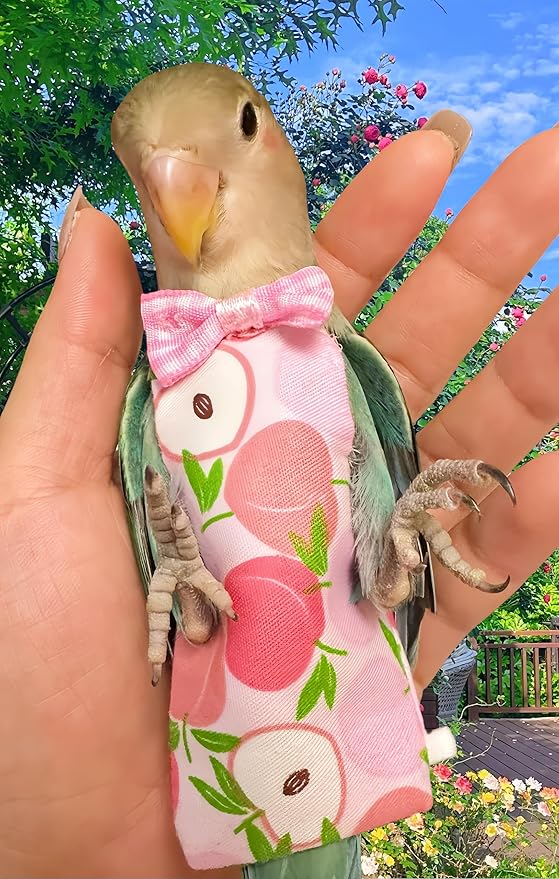 2 Pcs Bird Diapers Bird Harness Flight Suits Diapers with 80in Flying Leash Reusable Parrot Nappy with Waterproof Inner Layer for Cockatiel Budgie Conure Parakeet Lovebird-Pineapple&Peach