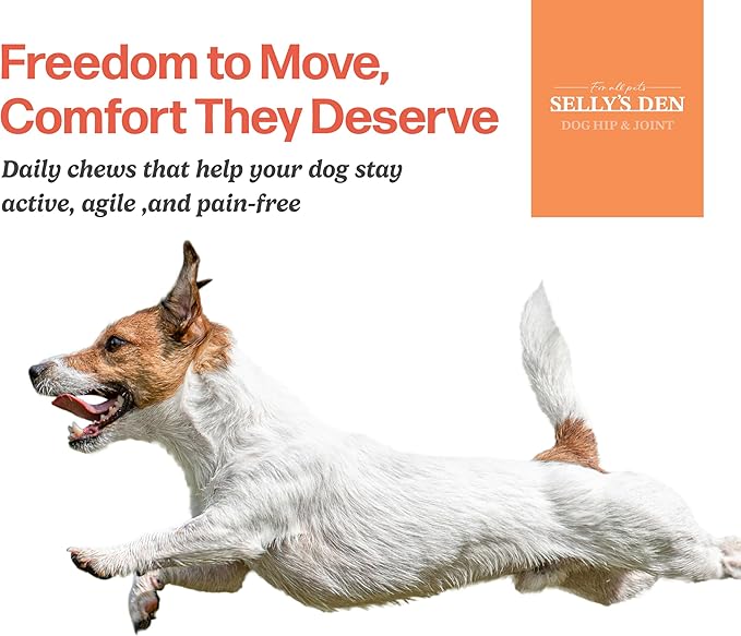 Selly’s Den Dog Hip and Joint Supplement for Mobility - Glucosamine, Chondroitin and MSM for Joint Health Relief - Made in USA - Chicken Flavor Soft Chew - 90 Count
