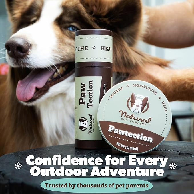 Natural Dog Company PawTection Dog Paw Balm, 4 Pack, Protects Paws from Hot Surfaces, Sand, Salt, & Snow, Organic, All Natural Ingredients (0.15 oz Travel Stick) X 4