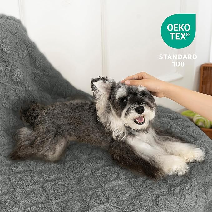 gogobunny Cozy Fleece Throw Blanket for Couch, 50x60 Inch Large Soft Blanket for Adults & Pets, 2-in-1 Machine Washable Lightweight Blanket for Bed, Travel, All Season Comfort (Anthracite, 50x60)