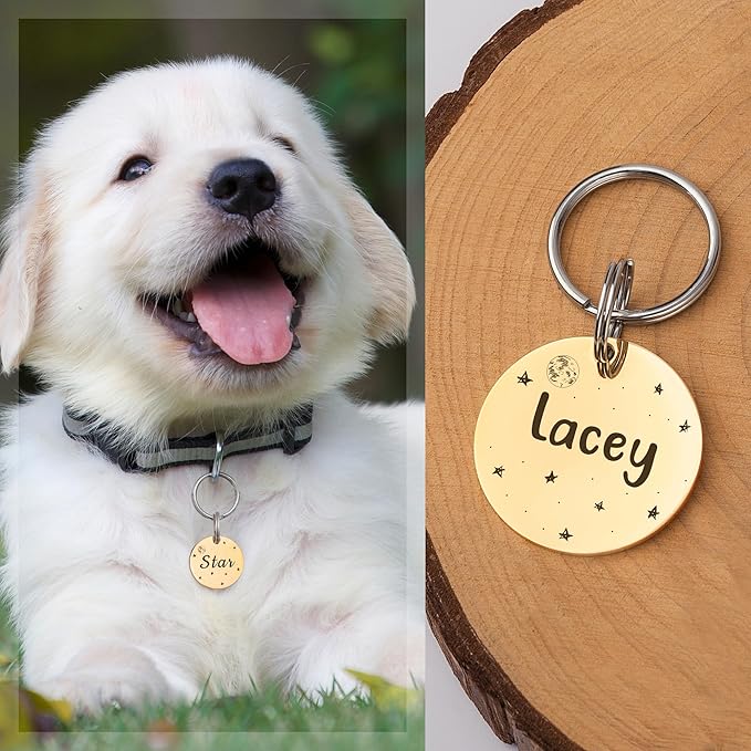 Anavia Small Size Dog Cat ID Tags, Small/XS Personalized Color Plated Stainless Steel Puppy Kitten Name Tags, Customized Engraved Nameplate Pet Collar Tag (Black, Round)